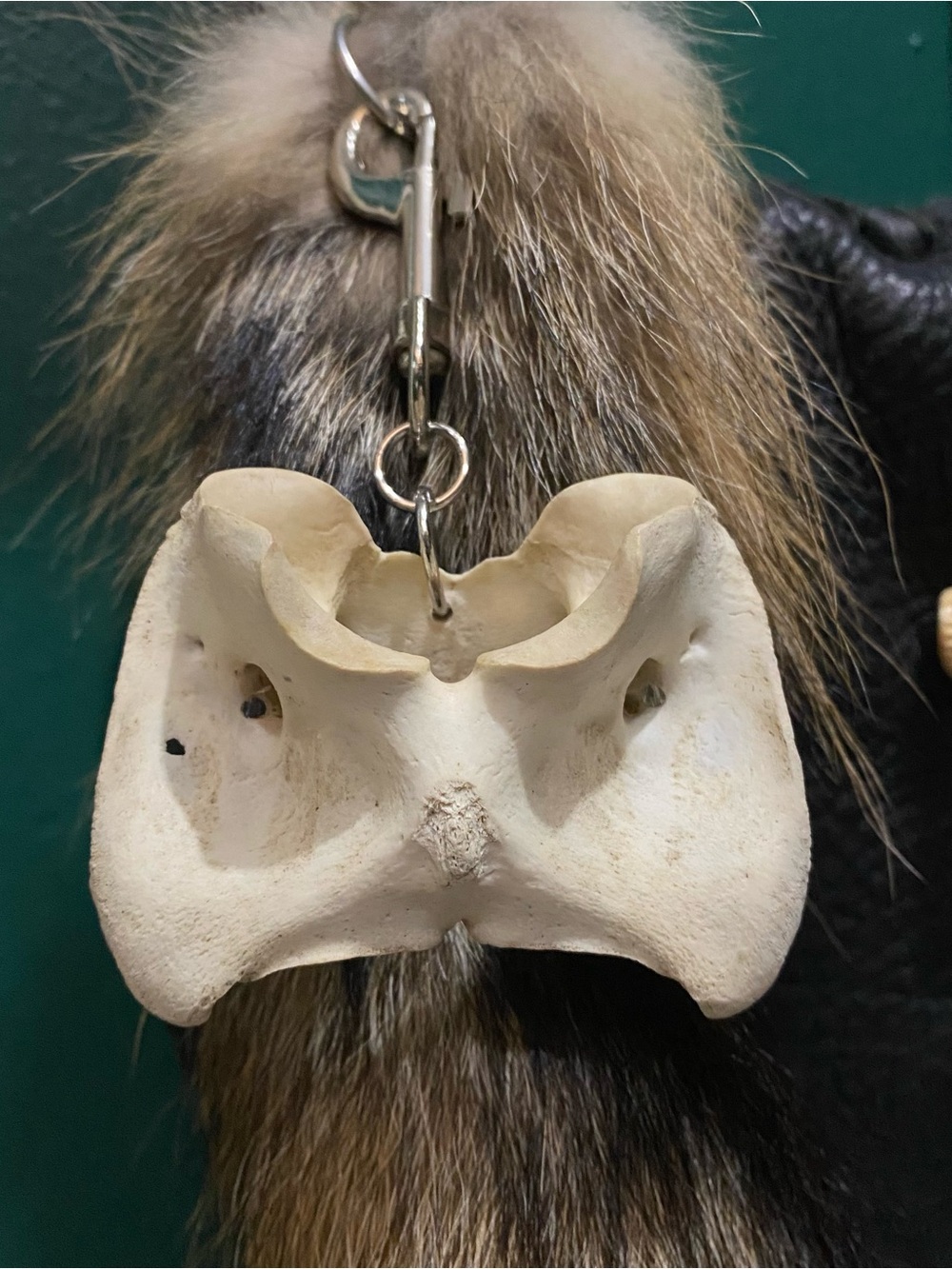 Deer Vertebrae Bone Keychain